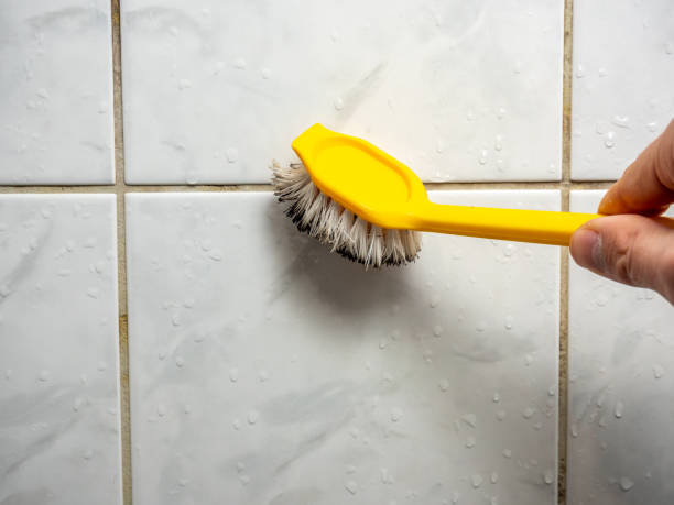 Best Same-Day Mold Removal  in Georgetown, OH