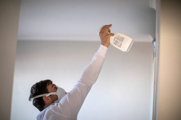 Best Mold Cleaning Services  in Georgetown, OH