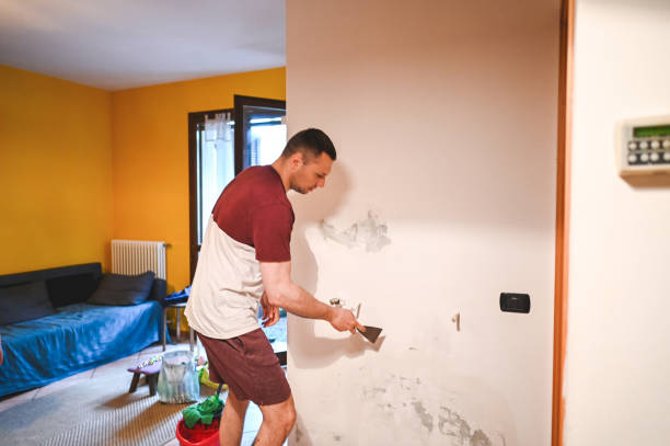 Best Commercial Mold Removal  in Georgetown, OH